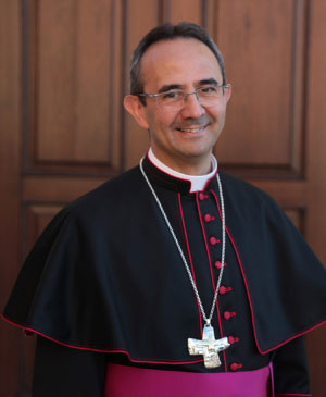monsignor marco busca vescovo mantova 2016