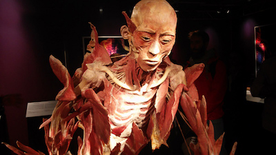 Real Bodies Milano 4