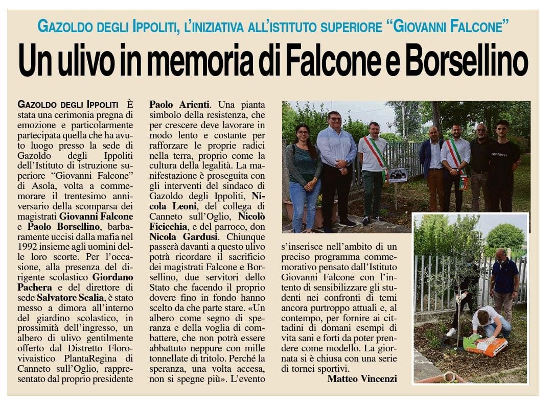 Ulivo Gazoldo 2022 Falcone IMG 20220607 WA0008