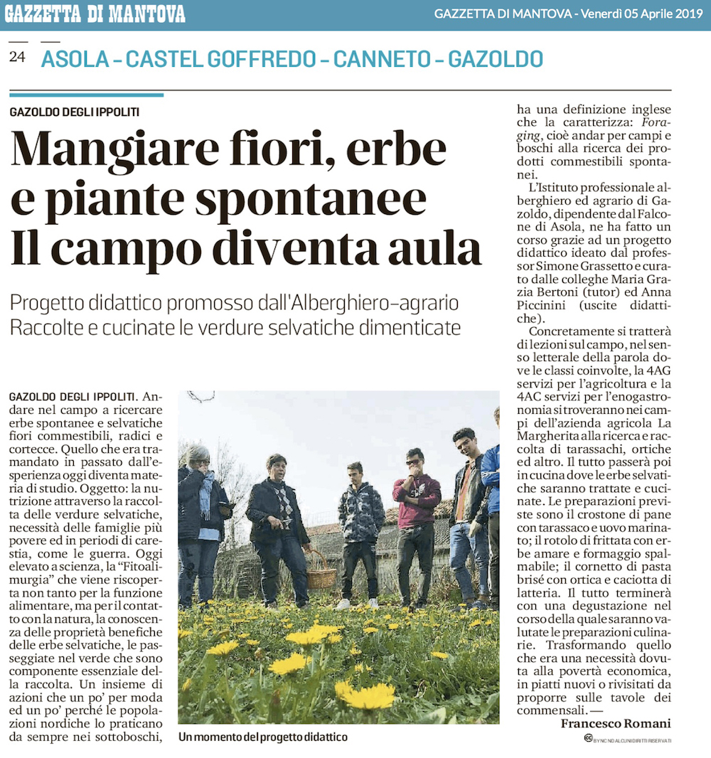 gazzetta mantova 4aprile2019